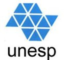 Unesp2 fmt